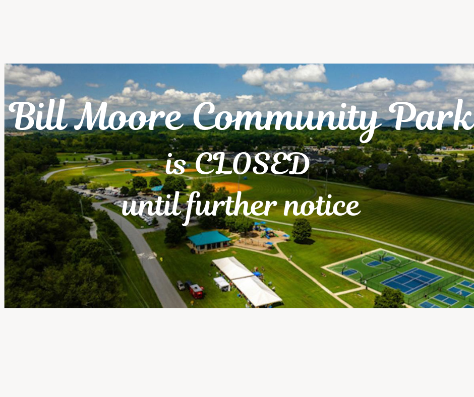 Minimalist Fill in the blanks engagement template or social media Town of Fletcher, North Carolina